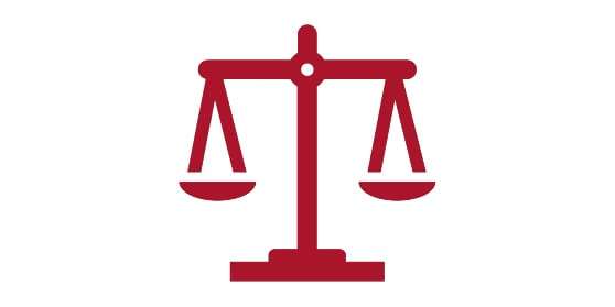Pro-Lite Legal Icon