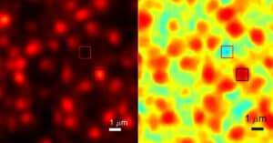 Nireos - Spectral image of photoluminescence of a spin-coated perovskite semiconductor using Hera VISNIR