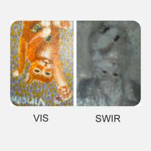 Cubert Ultris SWIR ART Application