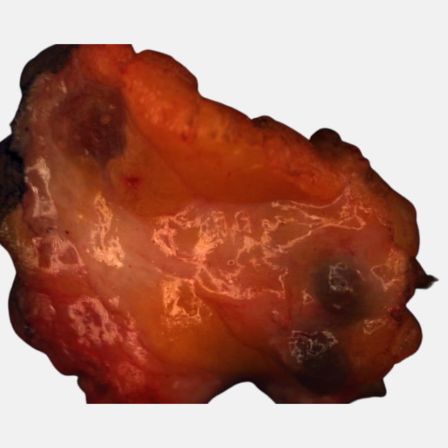 NIREOS HERA Hyperspectral Cameras Find New Applications