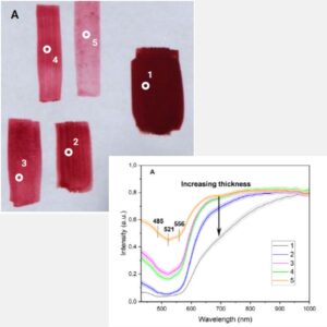 Nireos Hera - Reflectance spectra of red cochineal sample of different thickness