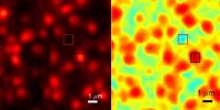 Nireos - Spectral image of photoluminescence of a spin-coated perovskite semiconductor using Hera VISNIR